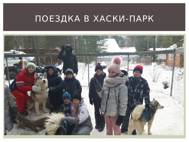 Поездка в хаски-парк 
