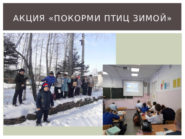 Акция «Покорми птиц зимой» 
