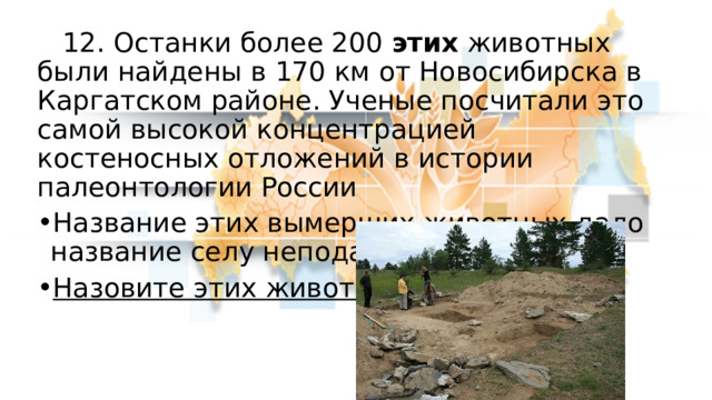  12. Останки более 200 этих животных были найдены в 170 км от Новосибирска в Каргатском районе. Ученые посчитали это самой высокой концентрацией костеносных отложений в истории палеонтологии России Название этих вымерших животных дало название селу неподалеку. Назовите этих животных 