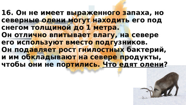 16. Он не имеет выраженного запаха, но северные олени могут находить его под снегом толщиной до 1 метра.  Он отлично впитывает влагу, на севере его используют вместо подгузников.  Он подавляет рост гнилостных бактерий, и им обкладывают на севере продукты, чтобы они не портились. Что едят олени ? 