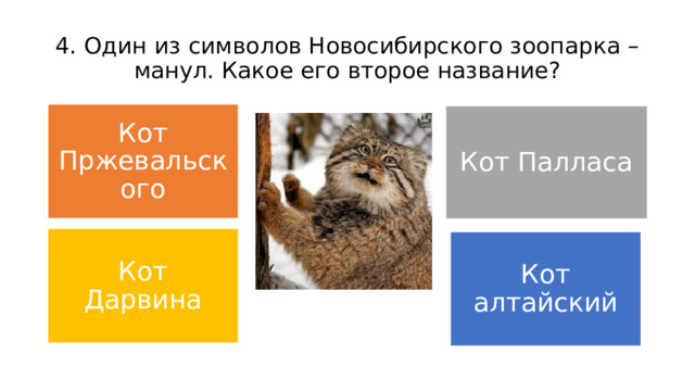 4. Один из символов Новосибирского зоопарка – манул. Какое его второе название? Кот Пржевальского Кот Палласа Кот Дарвина Кот алтайский 