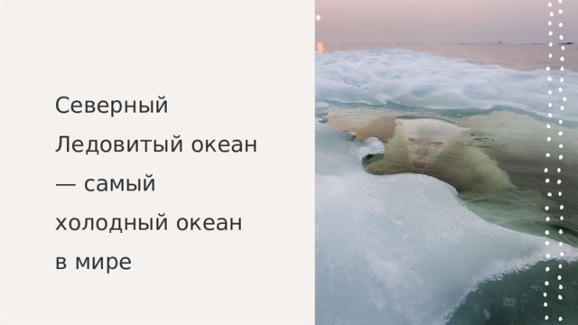Северный Ледовитый океан — самый холодный океан в мире   