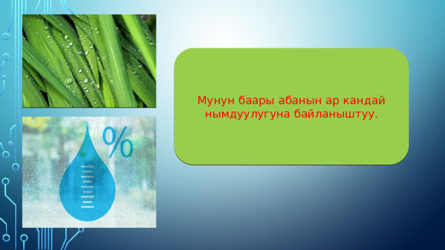 Мунун баары абанын ар кандай нымдуулугуна байланыштуу. 