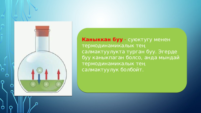 Каныккан буу  - суюктугу менен термодинамикалык тең салмактуулукта турган буу. Эгерде буу каныкпаган болсо, анда мындай термодинамикалык тең салмактуулук болбойт. 