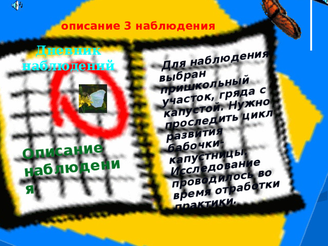 Описание наблюдения  Для наблюдения выбран пришкольный участок, гряда с капустой. Нужно проследить цикл развития бабочки- капустницы. Исследование проводилось во время отработки практики. описание 3 наблюдения Дневник наблюдений 