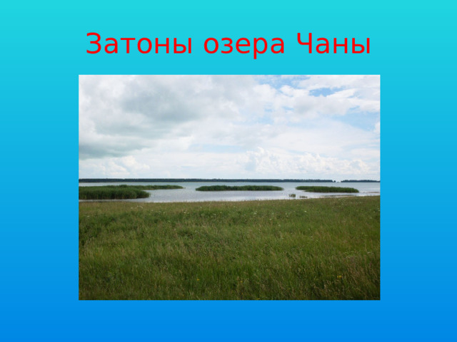 Затоны озера Чаны 