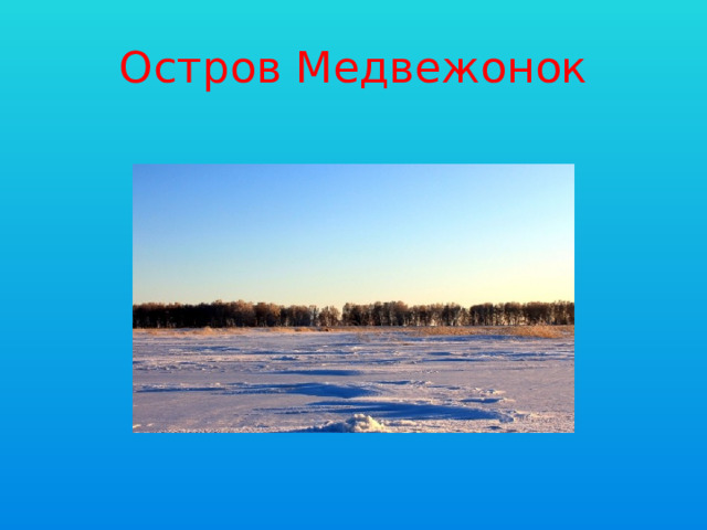 Остров Медвежонок 