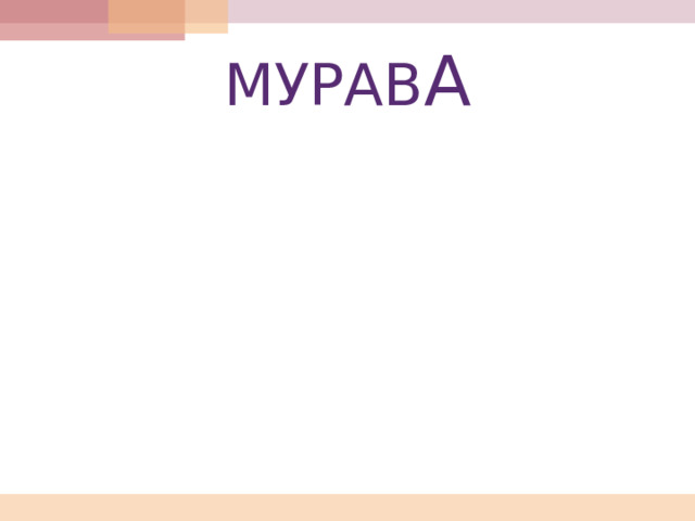 МУРАВ А 
