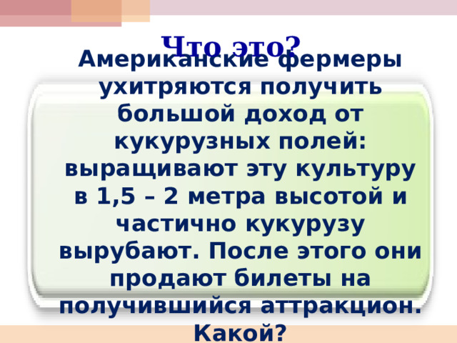 Что это? Американские фермеры ухитряются получить большой доход от кукурузных полей: выращивают эту культуру в 1,5 – 2 метра высотой и частично кукурузу вырубают. После этого они продают билеты на получившийся аттракцион. Какой? 