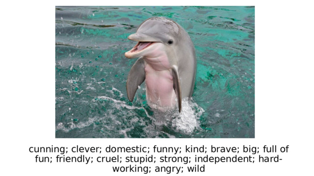 cunning; clever; domestic; funny; kind; brave; big; full of fun; friendly; cruel; stupid; strong; independent; hard-working; angry; wild 