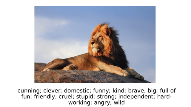 cunning; clever; domestic; funny; kind; brave; big; full of fun; friendly; cruel; stupid; strong; independent; hard-working; angry; wild 