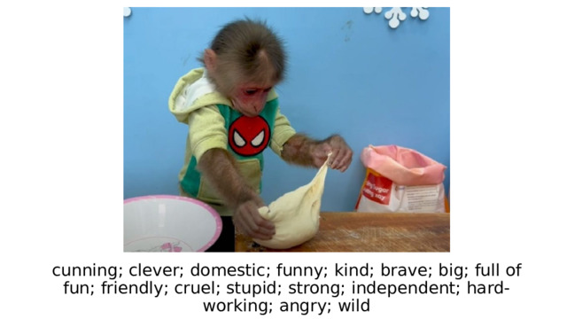 cunning; clever; domestic; funny; kind; brave; big; full of fun; friendly; cruel; stupid; strong; independent; hard-working; angry; wild 
