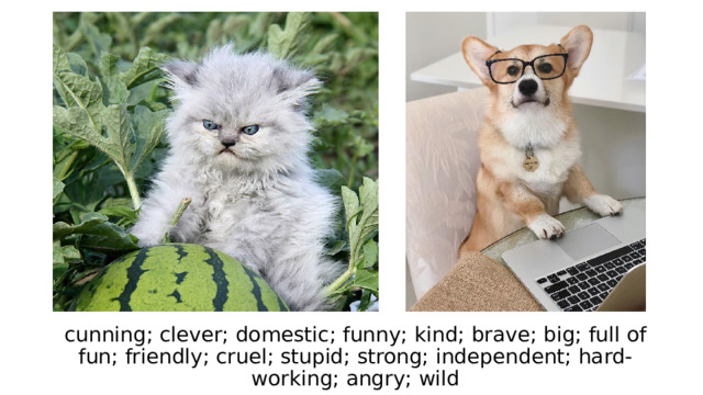 cunning; clever; domestic; funny; kind; brave; big; full of fun; friendly; cruel; stupid; strong; independent; hard-working; angry; wild 
