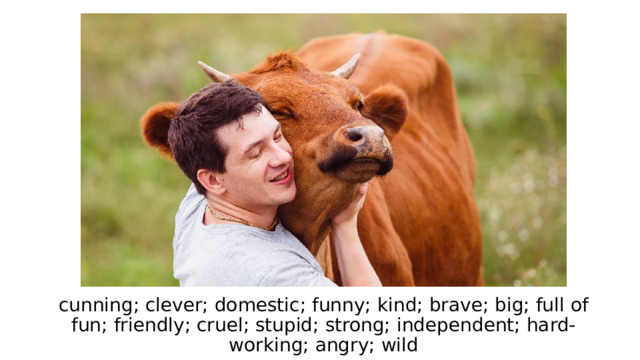 cunning; clever; domestic; funny; kind; brave; big; full of fun; friendly; cruel; stupid; strong; independent; hard-working; angry; wild 