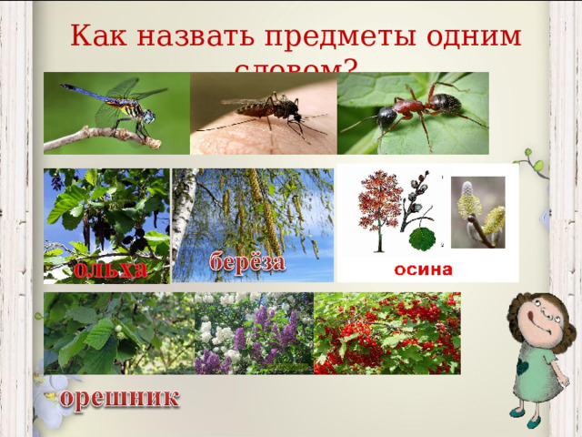 Как назвать предметы одним словом? 