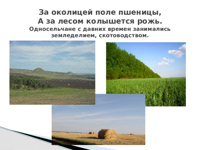 За околицей поле пшеницы,  А за лесом колышется рожь.  Односельчане с давних времен занимались земледелием, скотоводством.   