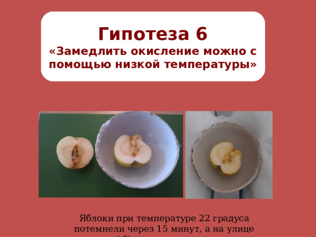 Гипотеза 6 «Замедлить окисление можно с помощью низкой температуры» Яблоки при температуре 22 градуса потемнели через 15 минут, а на улице (-2) - не изменились 