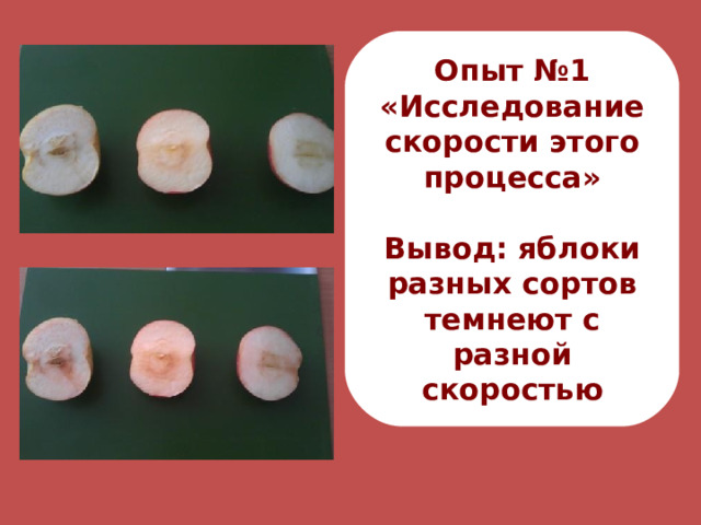 Опыт №1 «Исследование скорости этого процесса»  Вывод: яблоки разных сортов темнеют с разной скоростью 