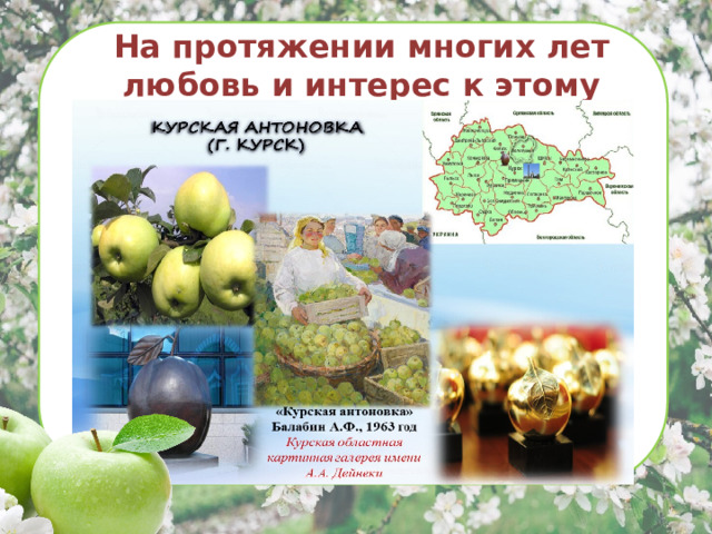 На протяжении многих лет любовь и интерес к этому старинному сорту яблок не перестает иссякать. 