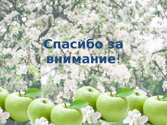 Спасибо за внимание ! 