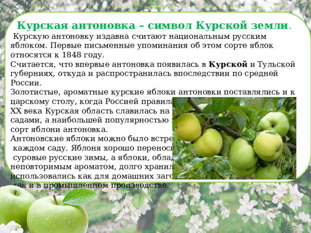 Курская антоновка – символ Курской земли .  Курскую антоновку издавна считают национальным русским яблоком. Первые письменные упоминания об этом сорте яблок относятся к 1848 году. Считается, что впервые антоновка появилась в Курской и Тульской губерниях, откуда и распространилась впоследствии по средней России.  Золотистые, ароматные курские яблоки антоновки поставлялись и к царскому столу, когда Россией правила Екатерина II . В 30-80 годы XX века Курская область славилась на весь Советский Союз своими садами, а наибольшей популярностью пользовался, конечно же, сорт яблони антоновка. Антоновские яблоки можно было встретить в  каждом саду. Яблоня хорошо переносила  суровые русские зимы, а яблоки, обладающие неповторимым ароматом, долго хранились и использовались как для домашних заготовок,  так и в промышленном производстве.    