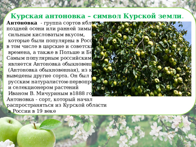 Курская антоновка – символ Курской земли . Антоновка   - группа сортов яблок  поздней осени или ранней зимы с  сильным кисловатым вкусом,  которые были популярны в России, в том числе в царские и советские   времена, а также в Польше и Беларуси.  Самым популярным российским сортом  является Антоновка обыкновенная  (Антоновка обыкновенная), из которой выведены другие сорта. Он был выведен  русским натуралистом-первопроходцем  и селекционером растений   Иваном В. Мичуриным в1888 году. Антоновка - сорт, который начал распространяться из Курской области  в России в 19 веке    