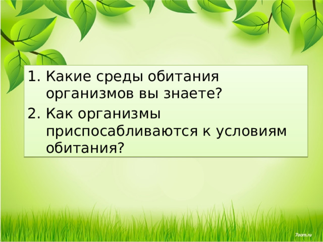 Какие среды обитания организмов вы знаете? Как организмы приспосабливаются к условиям обитания? 
