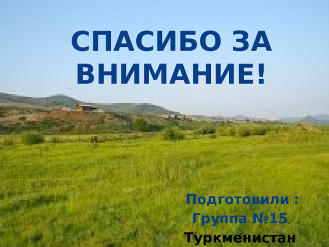 СПАСИБО ЗА ВНИМАНИЕ! Подготовили : Группа №15 Туркменистан  