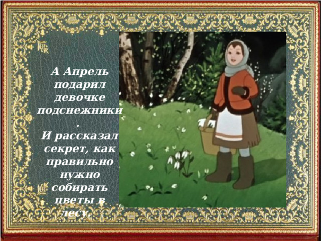  А Апрель подарил девочке подснежники. И рассказал секрет, как правильно нужно собирать цветы в лесу. 
