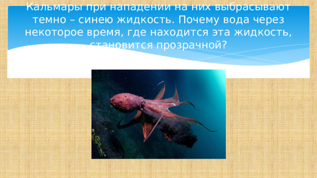 Кальмары при нападении на них выбрасывают темно – синею жидкость. Почему вода через некоторое время, где находится эта жидкость, становится прозрачной? 