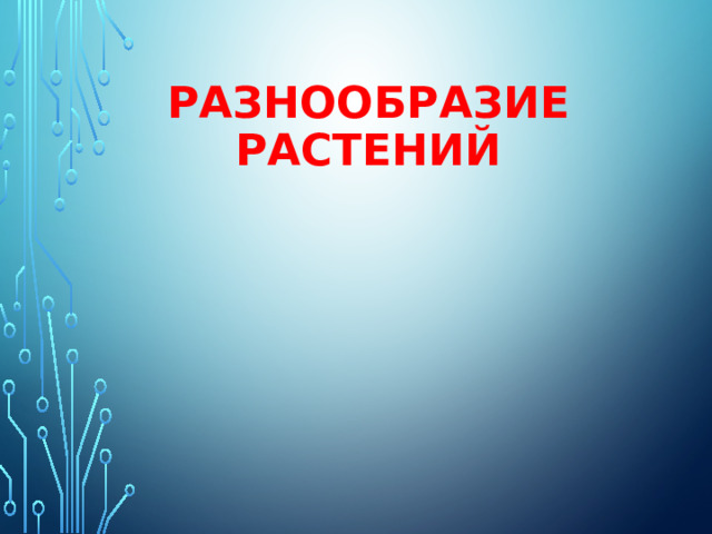РАЗНООБРАЗИЕ  РАСТЕНИЙ 