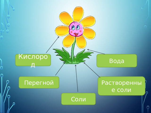 Кислород Вода Перегной Растворенные соли Соли 