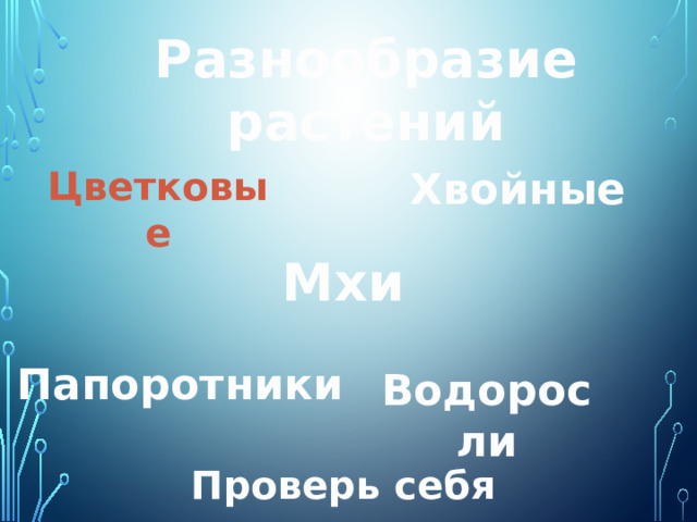 Разнообразие растений Цветковые Хвойные Мхи Папоротники Водоросли Проверь себя 