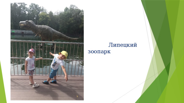    Липецкий зоопарк 