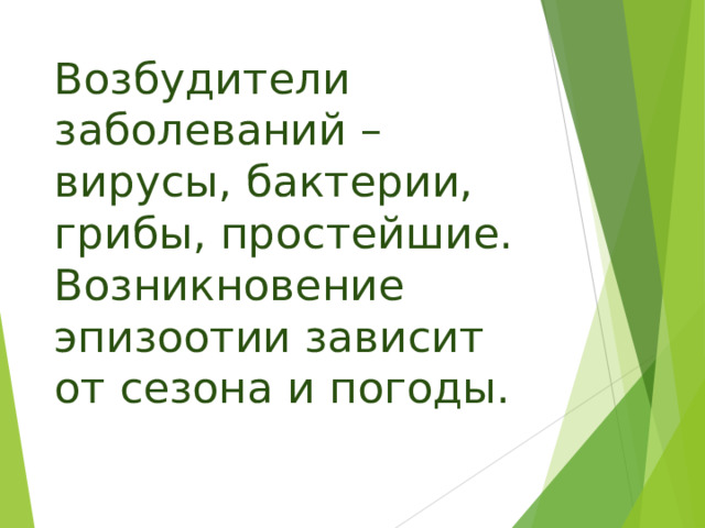 Возбудители заболеваний –  вирусы, бактерии, грибы, простейшие. Возникновение эпизоотии зависит от сезона и погоды. 