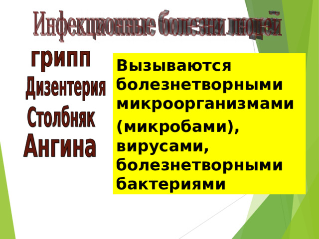 Вызываются болезнетворными микроорганизмами (микробами), вирусами, болезнетворными бактериями   