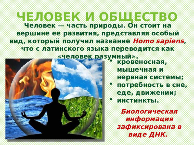 ЧЕЛОВЕК И ОБЩЕСТВО Человек — часть природы. Он стоит на вершине ее развития, представляя особый вид, который получил название Homo sapiens , что с латинского языка переводится как «человек разумный». кровеносная, мышечная и нервная системы; потребность в сне, еде, движении; инстинкты. Биологическая информация зафиксирована в виде ДНК. 