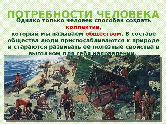 ПОТРЕБНОСТИ ЧЕЛОВЕКА Однако только человек способен создать коллектив , который мы называем обществом . В составе общества люди приспосабливаются к природе и стараются развивать ее полезные свойства в выгодном для себя направлении. 