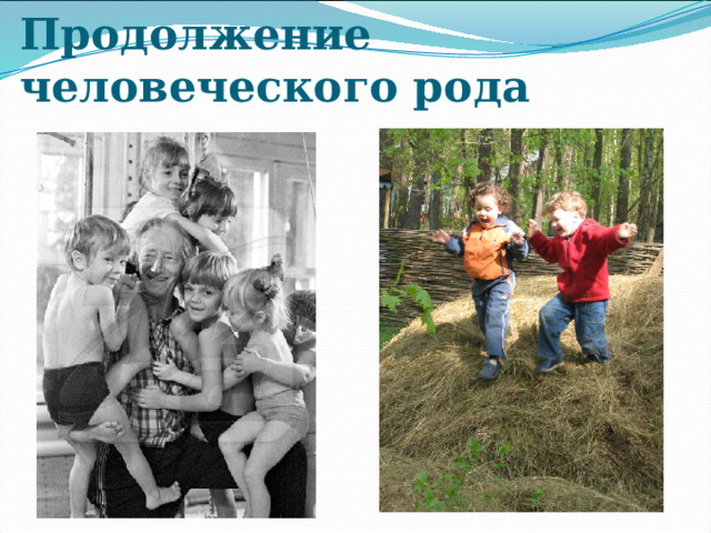 Продолжение человеческого рода 