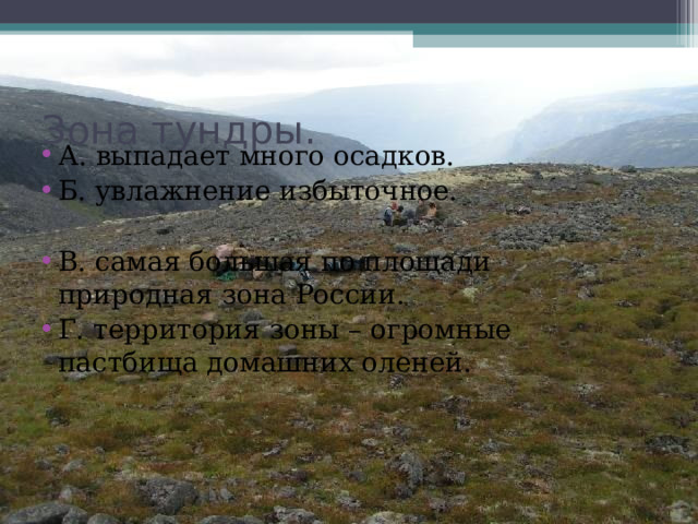 Зона тундры. А. выпадает много осадков. Б. увлажнение избыточное.  В. самая большая по площади природная зона России. Г. территория зоны – огромные пастбища домашних оленей. 
