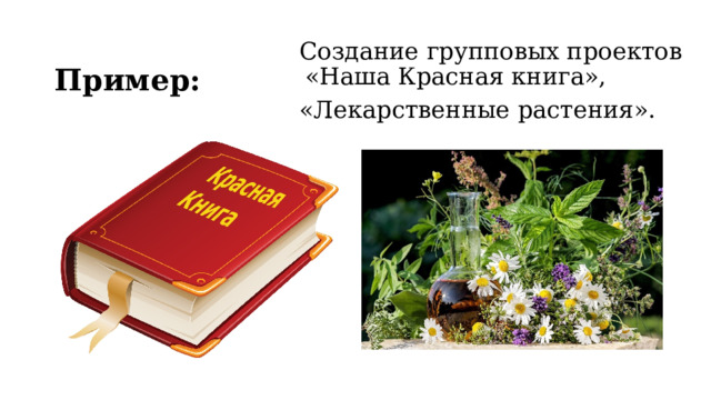 Пример:   Создание групповых проектов «Наша Красная книга»,   «Лекарственные растения». 