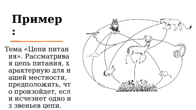 Пример: Тема «Цепи питания». Рассматривая цепь питания, характерную для нашей местности, предположить, что произойдет, если исчезнет одно из звеньев цепи.  