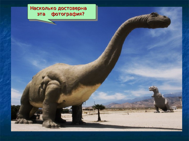Насколько достоверна эта фотография? 