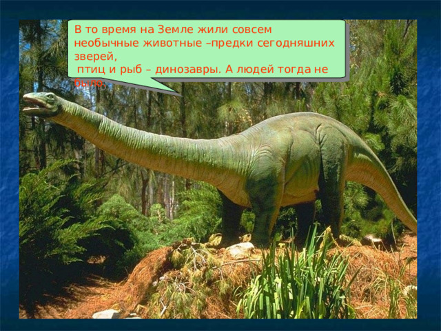 В то время на Земле жили совсем необычные животные –предки сегодняшних зверей,  птиц и рыб – динозавры. А людей тогда не было. 