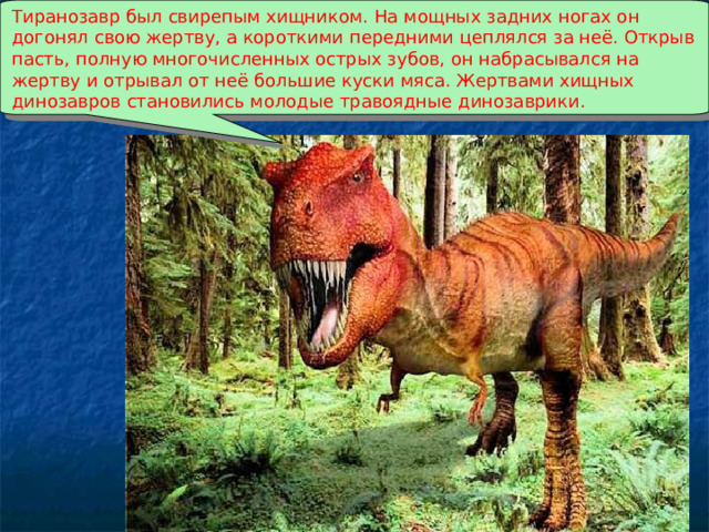 Тиранозавр был свирепым хищником. На мощных задних ногах он догонял свою жертву, а короткими передними цеплялся за неё. Открыв пасть, полную многочисленных острых зубов, он набрасывался на жертву и отрывал от неё большие куски мяса. Жертвами хищных динозавров становились молодые травоядные динозаврики. 