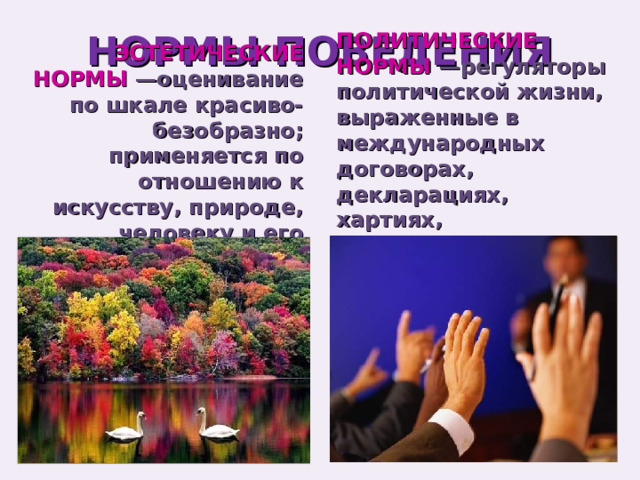 НОРМЫ ПОВЕДЕНИЯ ПОЛИТИЧЕСКИЕ НОРМЫ —регуляторы политической жизни, выраженные в международных договорах, декларациях, хартиях, политических принципах ЭСТЕТИЧЕСКИЕ НОРМЫ —оценивание по шкале красиво-безобразно; применяется по отношению к искусству, природе, человеку и его поступкам. 