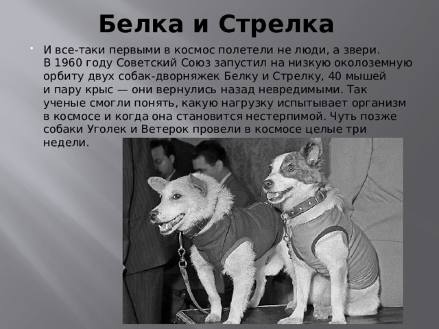 Белка и Стрелка И все-таки первыми в космос полетели не люди, а звери. В 1960 году Советский Союз запустил на низкую околоземную орбиту двух собак-дворняжек Белку и Стрелку, 40 мышей и пару крыс — они вернулись назад невредимыми. Так ученые смогли понять, какую нагрузку испытывает организм в космосе и когда она становится нестерпимой. Чуть позже собаки Уголек и Ветерок провели в космосе целые три недели. 