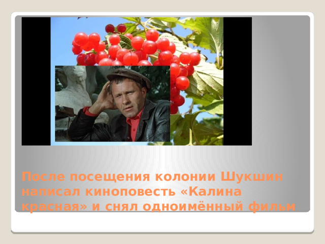 После посещения колонии Шукшин написал киноповесть «Калина красная» и снял одноимённый фильм 