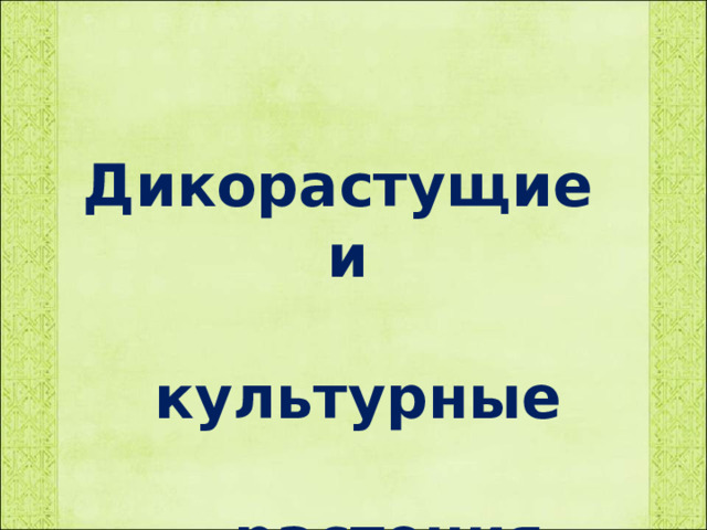     Дикорастущие и   культурные   растения          