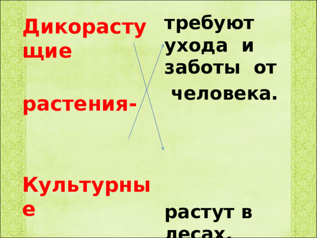 требуют ухода и заботы от  человека. растут в лесах, полях. Не требуют ухода. Дикорастущие  растения-   Культурные  растения- 